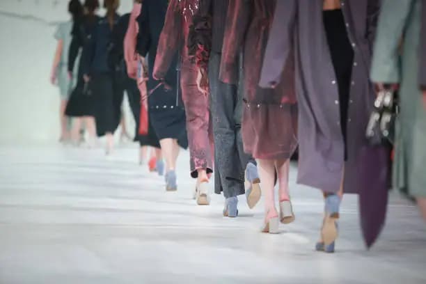 Fashion